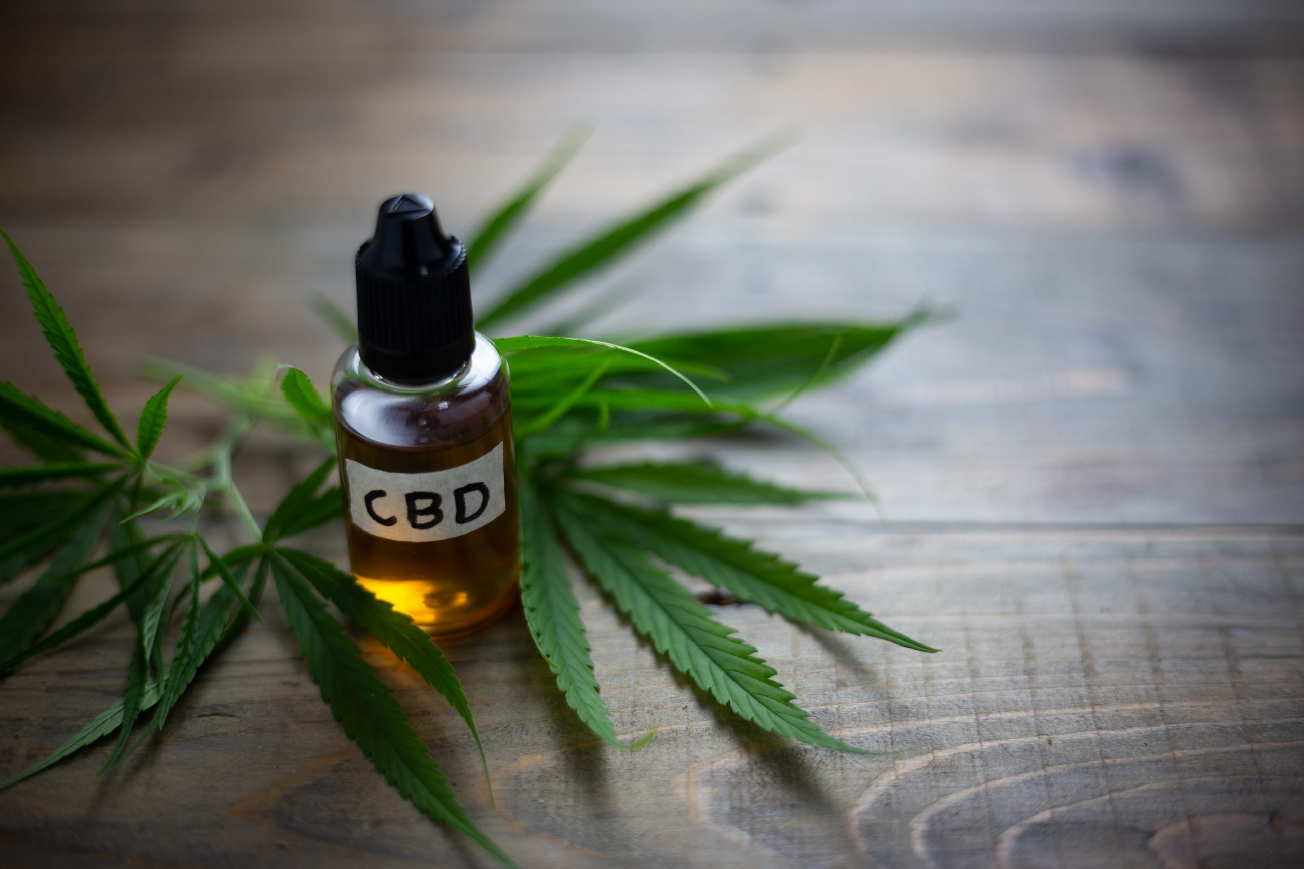 CBD Oil vs. THC: Key Differences Explained