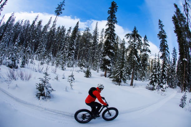 Explore How One Stop Ski Cycle Makes Your Steamboat Springs Ski Trip Effortless