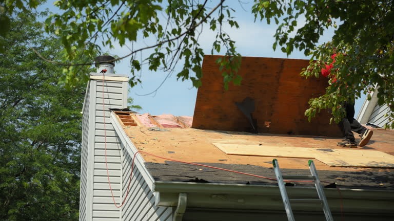 Reliable Bronx Roofing Contractors for Roof Inspections