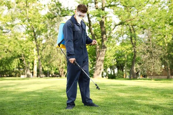 Professional Lawn Pest Control Solutions for Healthy Turf