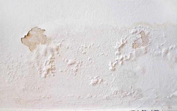 Residential and Commercial Water Damage Repair Services