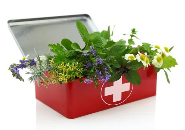 How Why Should Stress Support Supplements Be Paired With Healthy Habits Supports Wellness