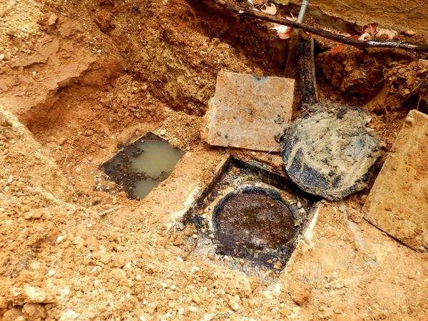 Septic Inspection Severna Park What Homeowners Need to Know
